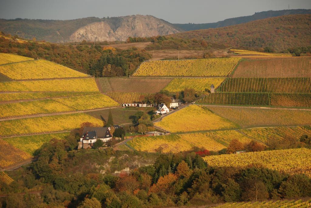 Gut Hermannsberg, Gaestehaus Niederhausen Kültér fotó